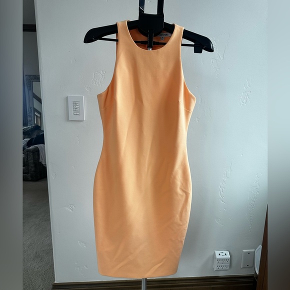 Elizabeth and James Kenna Dress - Picture 5 of 8